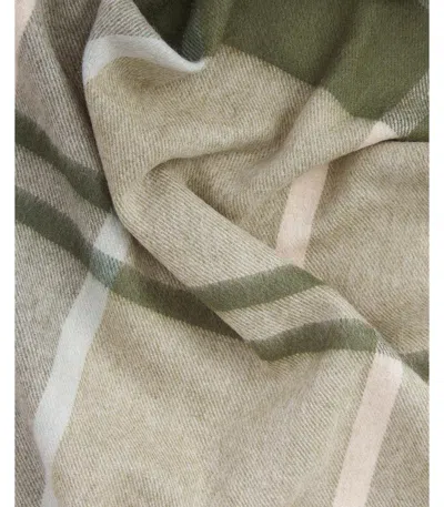Barbour Rosefield Green And Beige Scarf In Brown