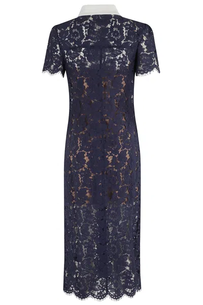 Self-portrait Self Portrait Women Lace Contrast Collar Midi Dress In Blue