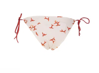 Fendi White Lycra Bikini Bottom With Coral Print In White