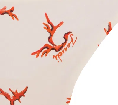 Fendi White Lycra Bikini Bottom With Coral Print In White