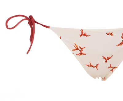 Fendi White Lycra Bikini Bottom With Coral Print In White