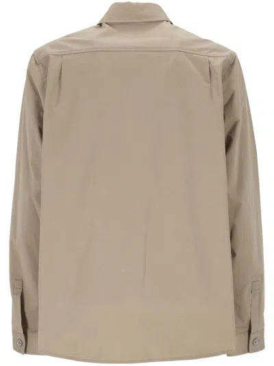 Add Modern Cotton Shirt With Classic Collar In Pink