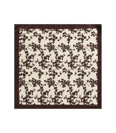 スカーフ ELISABETTA FRANCHI Woman Scarf Cocoa SC03F 644 ELISABETTA FRANCHI Woman Scarf Cocoa SC03F 644 スカーフ