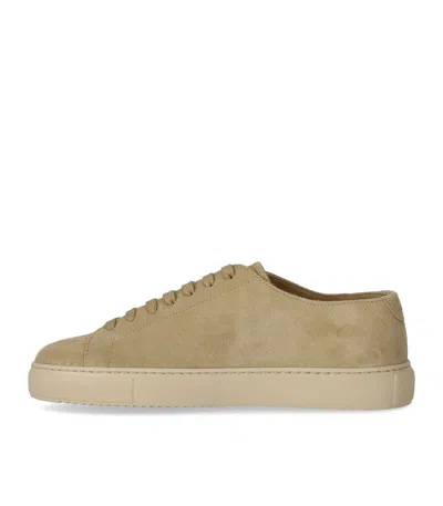 Doucal's Beige Suede Sneaker In Multi