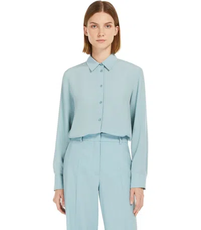 Weekend Max Mara Almina Anice Shirt In Brown