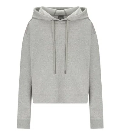 Max Mara Angora Grey Hoodie In Gray