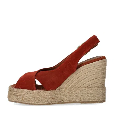 Palomitas Lucile Red Wedge Espadrille Sandal In Burgundy