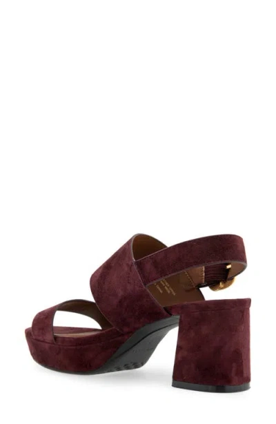 Aerosoles Camera Platform Sandal