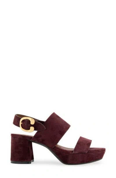 Aerosoles Camera Platform Sandal