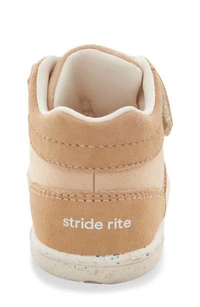Stride Rite Kids' Pine Sneaker In Brown