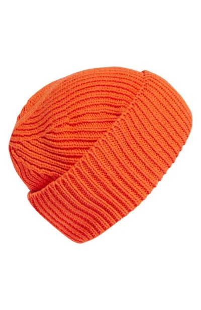 Adidas By Stella Mccartney Asmc Beanie