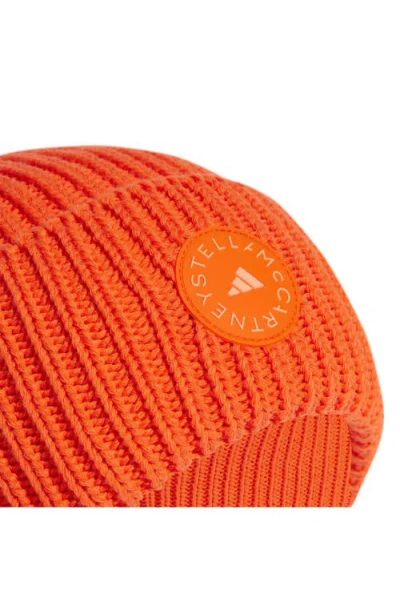 Adidas By Stella Mccartney Asmc Beanie
