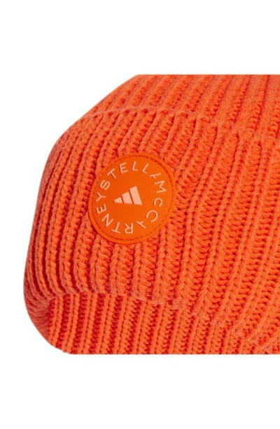 Adidas By Stella Mccartney Asmc Beanie
