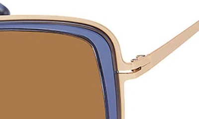 Modo Butterfly Sunglasses