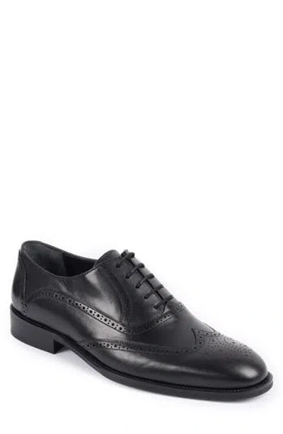 Vellapais Condotti Brogue Oxford