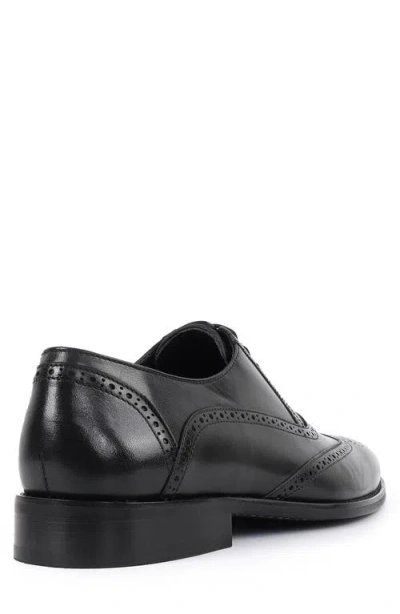 Vellapais Condotti Brogue Oxford