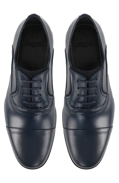 Vellapais Babuino Cap Toe Oxford