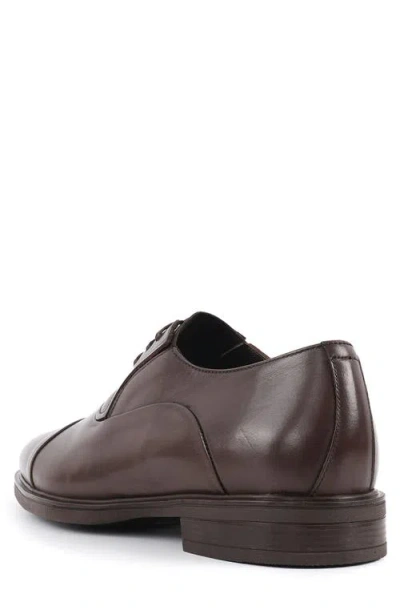 Vellapais Babuino Cap Toe Oxford In Brown