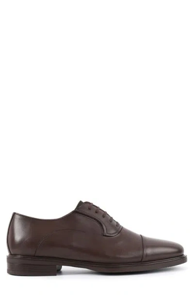 Vellapais Babuino Cap Toe Oxford In Brown