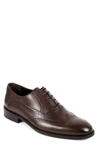 Vellapais Condotti Brogue Oxford