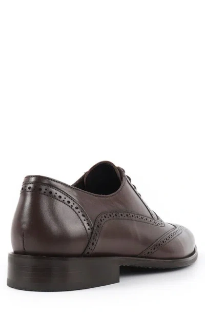 Vellapais Condotti Brogue Oxford