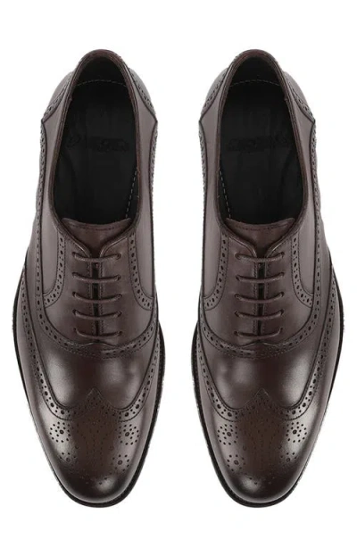 Vellapais Condotti Brogue Oxford