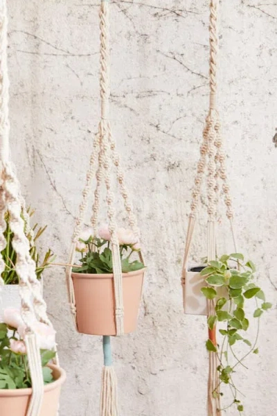 Pillowpia Trina Plant Hanger