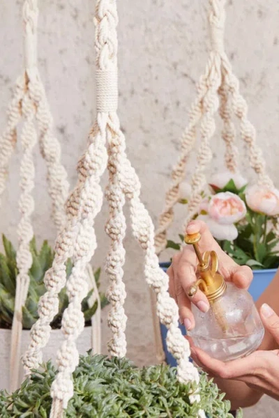 Pillowpia Trina Plant Hanger