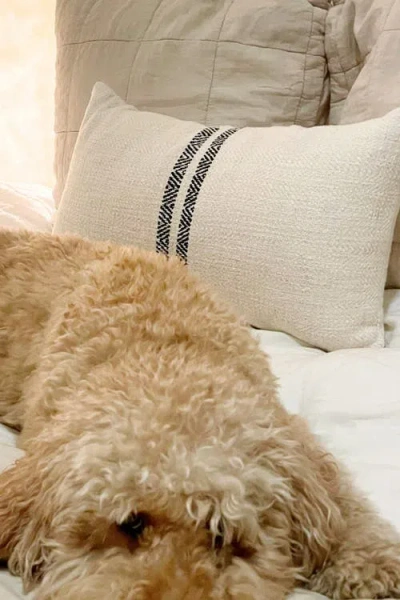 Pillowpia Hugh Lumbar Pillow Cover