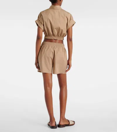 Miu Miu Logo Cotton Poplin Crop Top In Brown