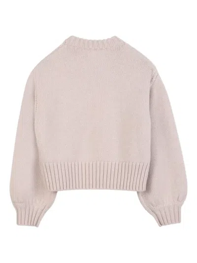 Chloé Cropped Sweater In Neutral