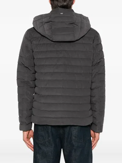 Herno Quilted Hooded Jacket In Black