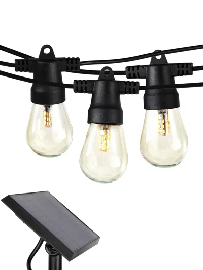 Brightech Ambience Pro Solar 1w Led String Lights (soft White 3000k) In Black