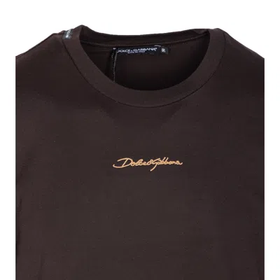 Dolce & Gabbana T-shirts And Polos In Brown