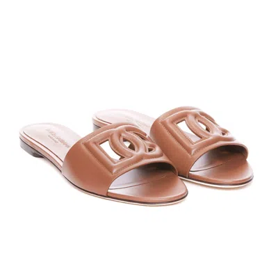 Dolce & Gabbana Woman Sandals Camel Size 5.5 Calfskin