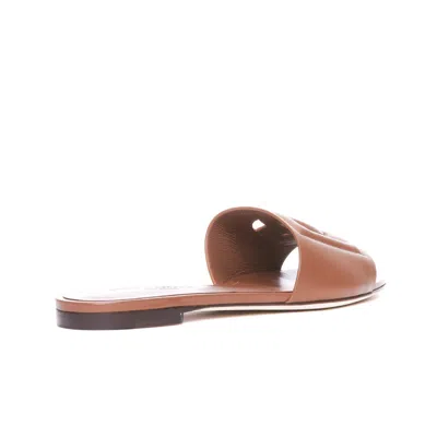 Dolce & Gabbana Woman Sandals Camel Size 5.5 Calfskin