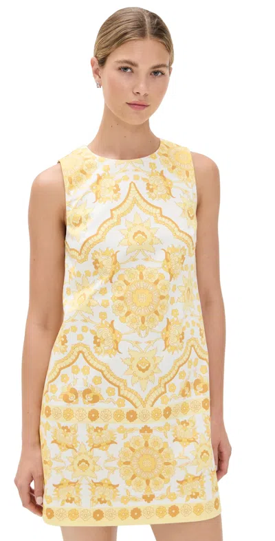 Cara Cara Mackenzie Printed Crepe Mini Dress In Yellow