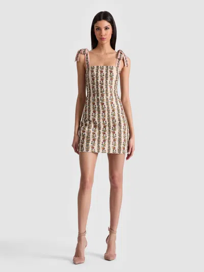 Alice And Olivia Maryrann Embroidered Mini Dress In Multi