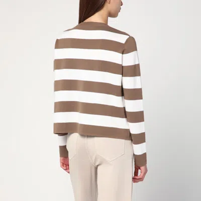 Max Mara Striped Wool Sweater With Embroidery