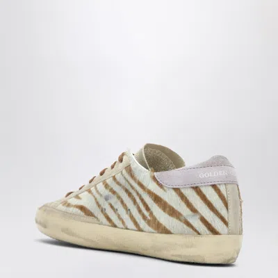 Golden Goose Super-star Sneakers In Zebra Pony Hair