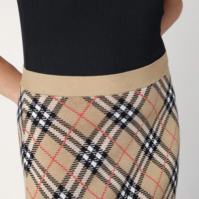 Burberry Embroidered Wool Blend Mini Skirt In Brown