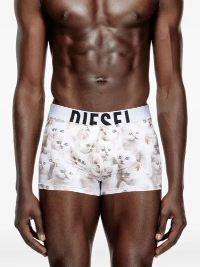 Diesel Damien Kitten-print Briefs In Multi