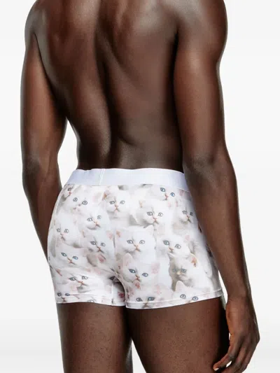 Diesel Damien Kitten-print Briefs In Multi