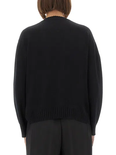 Fabiana Filippi Crew Neck Knitwear Long Sleeves In Black