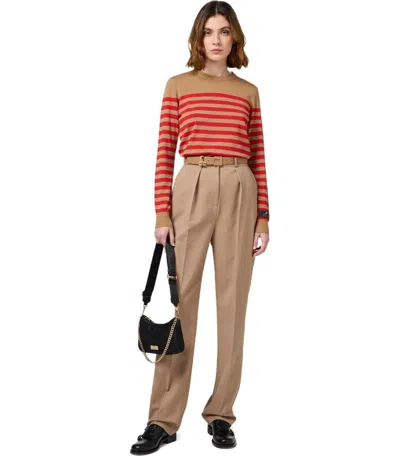 Elisabetta Franchi Sweaters In Brown
