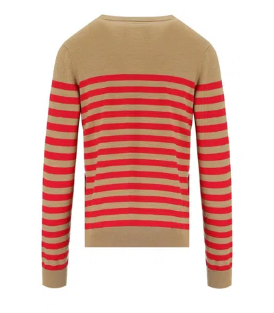 Elisabetta Franchi Sweaters In Brown