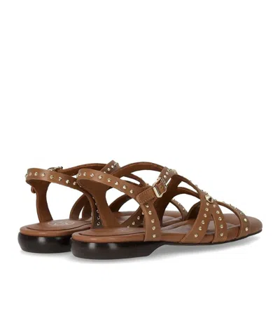 Ash Ruby Cinnamon Flat Sandal In Brown