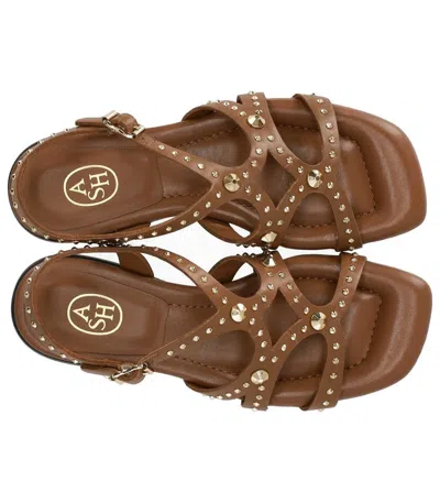 Ash Ruby Cinnamon Flat Sandal In Brown