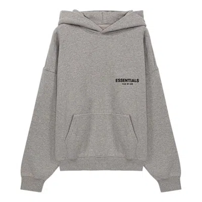 Essentials Logo Pullover Hoodie In Gray