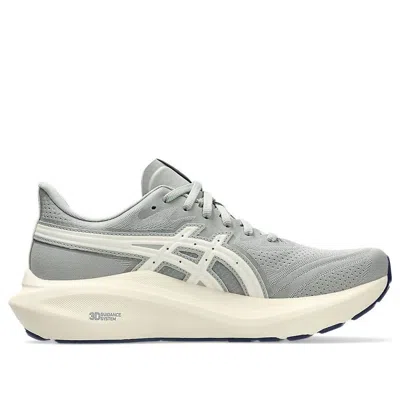 Asics (wmns)  Gt-2000 13 Atc 'seal Grey Brich' In Gray
